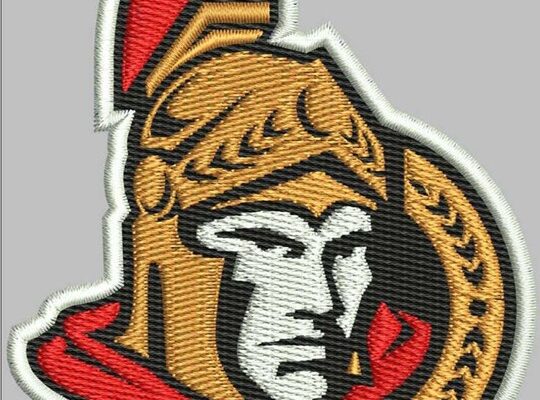 Embroidery Digitizing Services USA Embroidery Digitizing Services