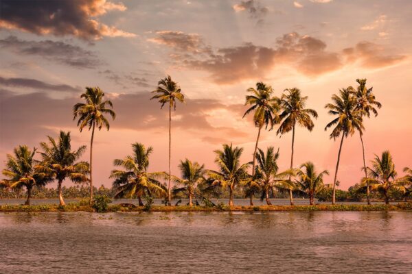 7 Days Kerala Tours from Cochin: Explore Hills, Lakes & Culture 7 days kerala tours from cochin