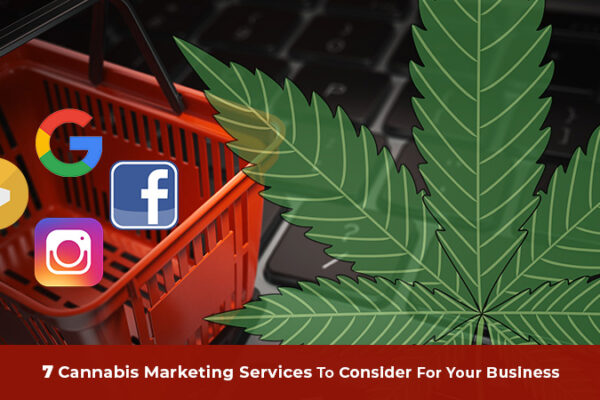 Cannabis Web Design Agency Helping Cannabis Brands Stand Out cannabis web design agency