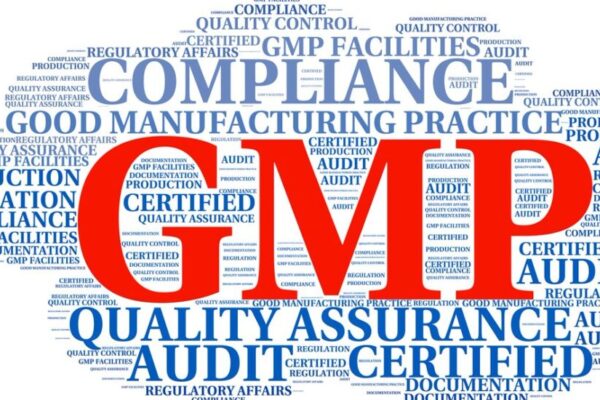 Why GMP Training Is Required: More Than Just a Regulatory Box-Tick GMP Training