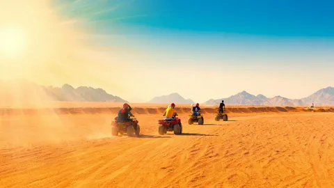 Experience the Thrill: A Complete Guide to Dubai Buggy Rental
