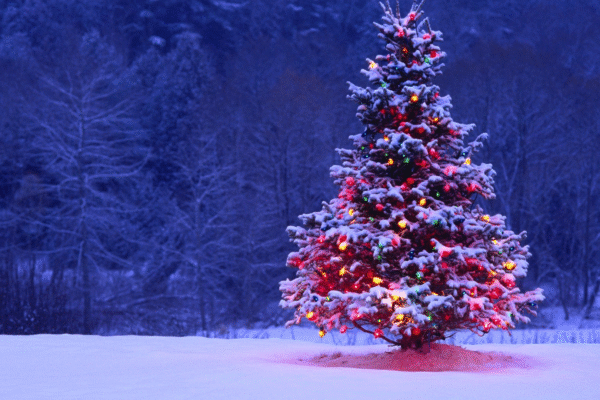 The Perfect Prelit Christmas Tree: Blending Convenience with Style