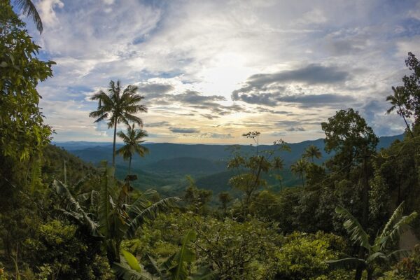 5 Night Kerala Honeymoon Trip: Romantic Backwaters & Hills 5 night kerala honeymoon trip