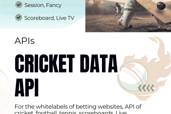 Fantasy Cricket API: The Ultimate Solution to Build Winning Fantasy Sports Apps