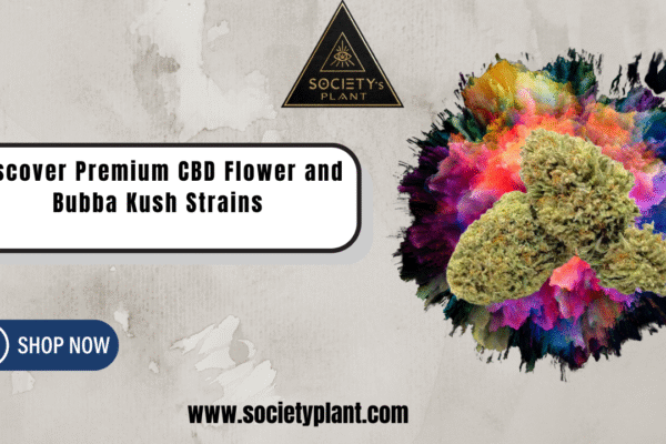 Discover Premium CBD Flower and Bubba Kush Strains CBD Flower