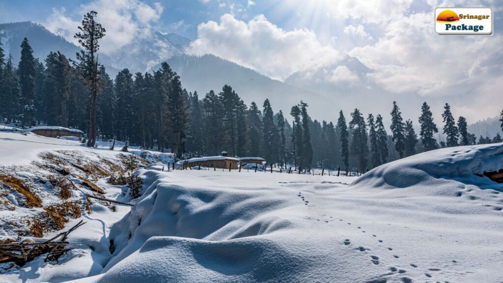 Srinagar Package, Srinagar Tour Packages, Srinagar Honeymoon Packages,