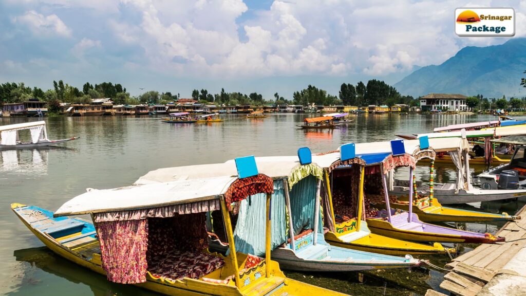 Srinagar Package, Srinagar Tour Packages, Srinagar Honeymoon Packages,