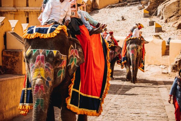 Step Into Royal Grandeur Through Rajasthan Tourism: Palaces, Deserts, and Living Heritage