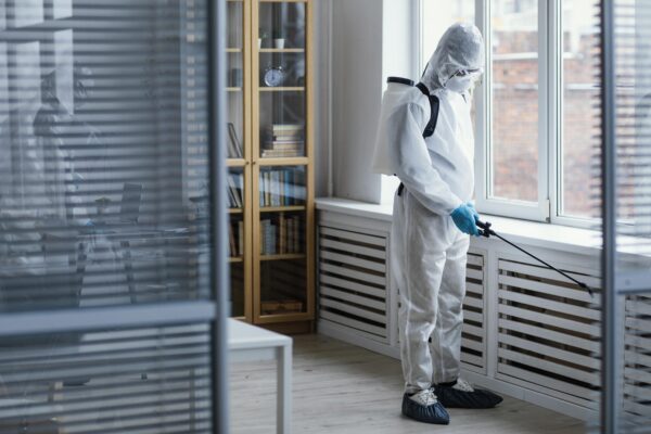 Bedbug, Flea & Insect Control Experts in Ayrshire, Galloway & Glasgow On-site pest control services covering Ayrshire, Galloway, and Glasgow for bedbug removal, flea control, insect control, and cockroach extermination