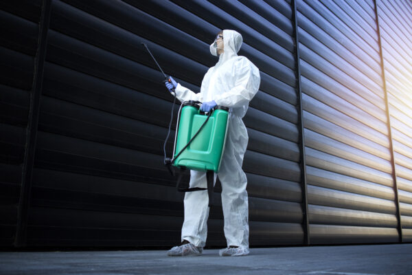 Professional Pest Control Glasgow: Say Goodbye to Unwanted Pests Pest control specialist in Glasgow inspecting a home for rodents
